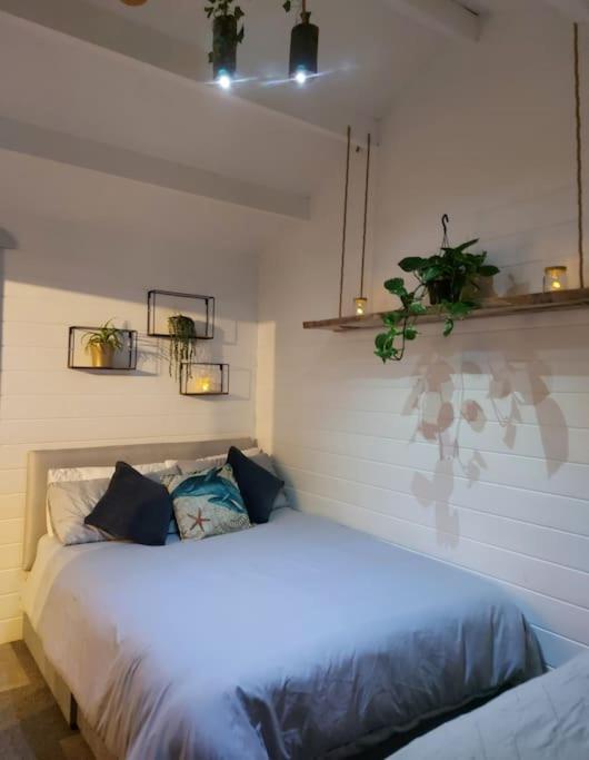 Seafield Cabin Tromora West المظهر الخارجي الصورة