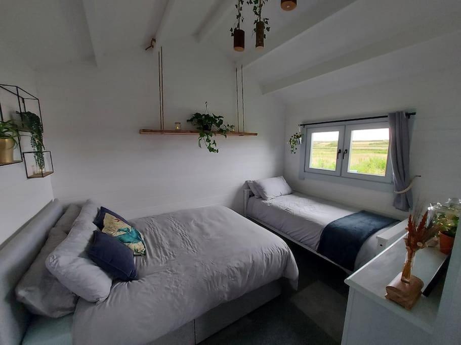 Seafield Cabin Tromora West المظهر الخارجي الصورة